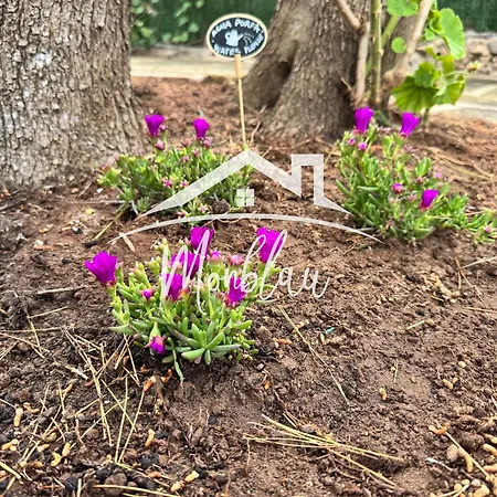 Sa Torreta 1 * Κάλα Μπλάνκα