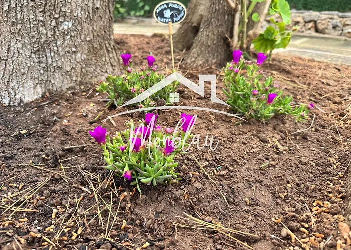 Sa Torreta 1 * Κάλα Μπλάνκα